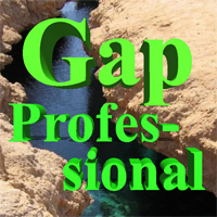 Gap Professional logo